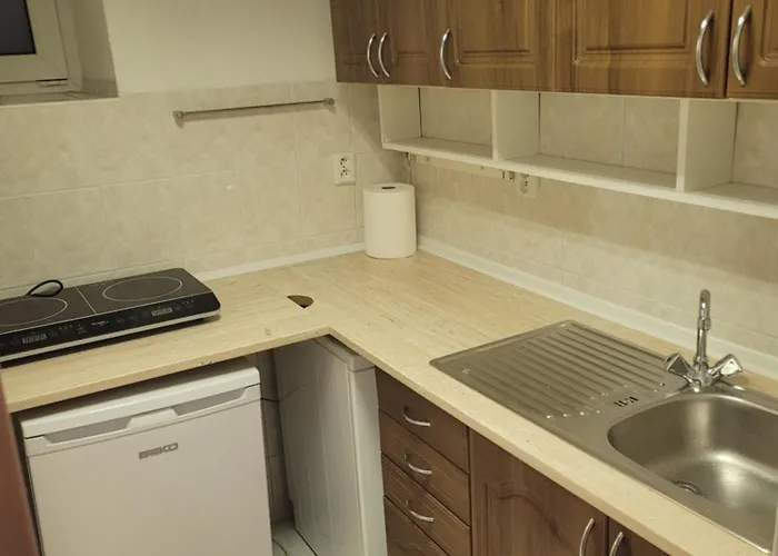 In Historic Centre Of Апартаменты Острава